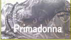 プリマドンナ