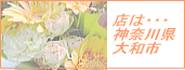 ���X�܂͑�a�s
